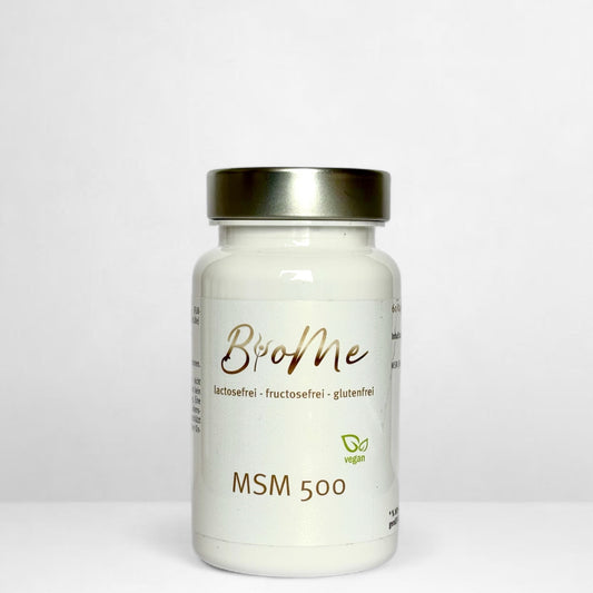 MSM 500